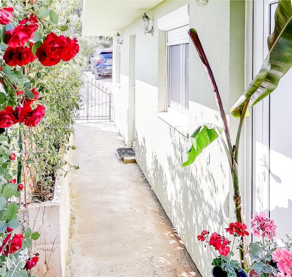 Apartments Siesta Tivat Exterior photo