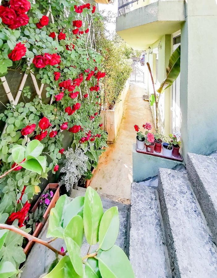 Apartments Siesta Tivat Exterior photo