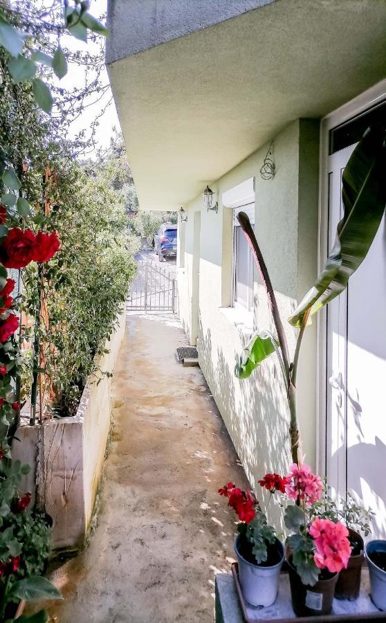 Apartments Siesta Tivat Exterior photo